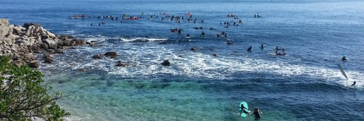 Surfing Monterey Bay